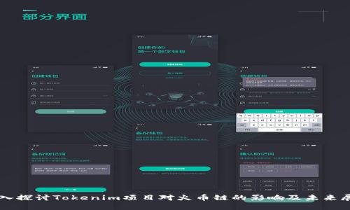 深入探讨Tokenim项目对火币链的影响及未来展望