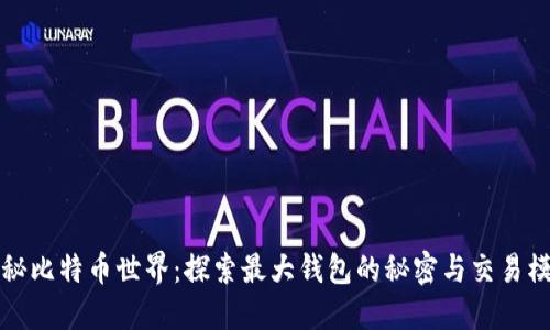 揭秘比特币世界：探索最大钱包的秘密与交易模式