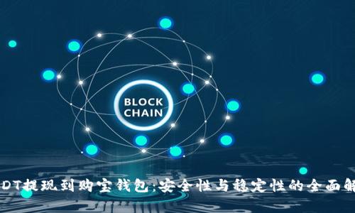 USDT提现到购宝钱包：安全性与稳定性的全面解析