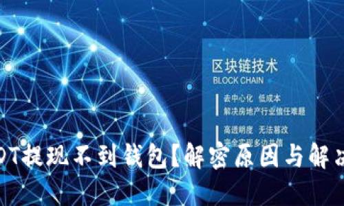 : USDT提现不到钱包？解密原因与解决方案