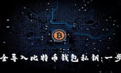 如何安全导入比特币钱包