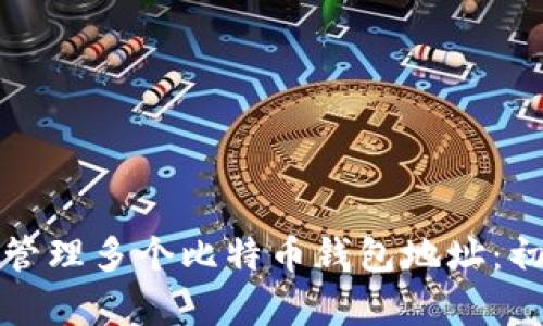 如何安全管理多个比特币钱包地址：初学者指南