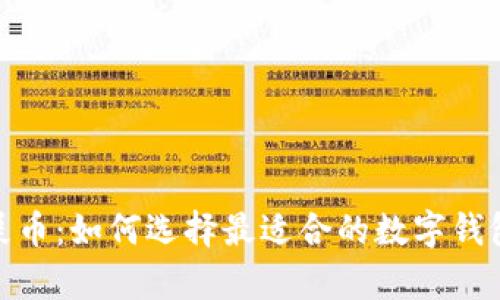 投资屎币：如何选择最适合的数字钱包存储