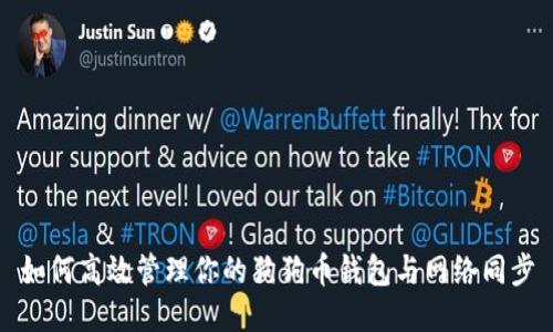 如何高效管理你的狗狗币钱包与网络同步