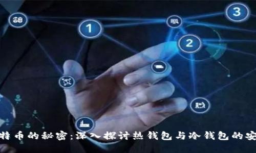 揭开比特币的秘密：深入探讨热钱包与冷钱包的安全之道
