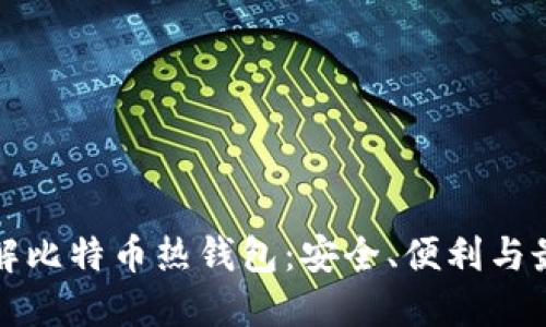 全面了解比特币热钱包：安全、便利与最佳实践
