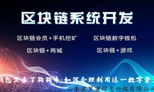 钱包里多了狗狗币：如何合理利用这一数字资产