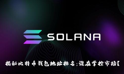 揭秘比特币钱包地址排名：谁在掌控市场？