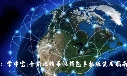 : 掌中宝：全新比特币快钱包手机版使用指南