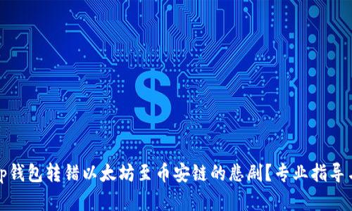 如何处理Tp钱包转错以太坊至币安链的悲剧？专业指导与解决方案