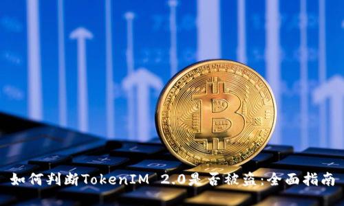 如何判断TokenIM 2.0是否被盗：全面指南